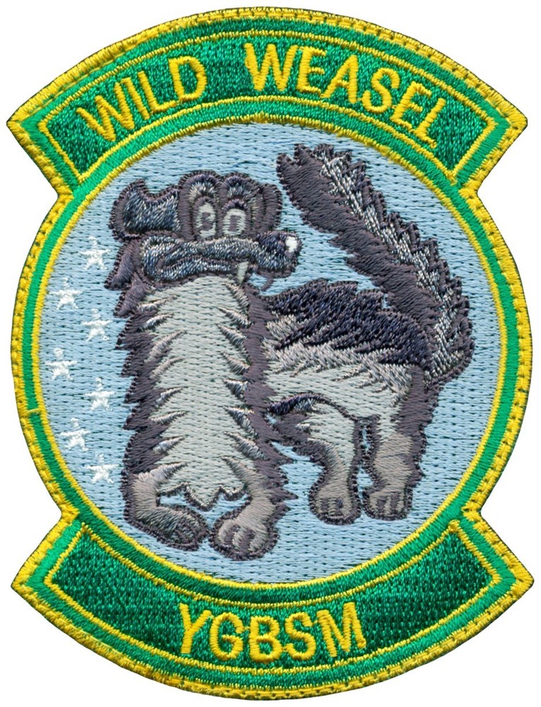 USAF 134th FIGHTER SQUADRON – WILD WEASEL  PATCH