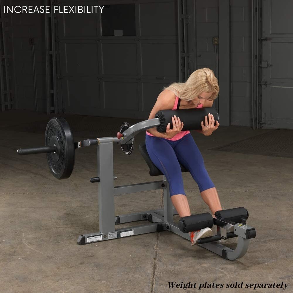 Body-Solid Cam Series AB and Back Machine - Gray