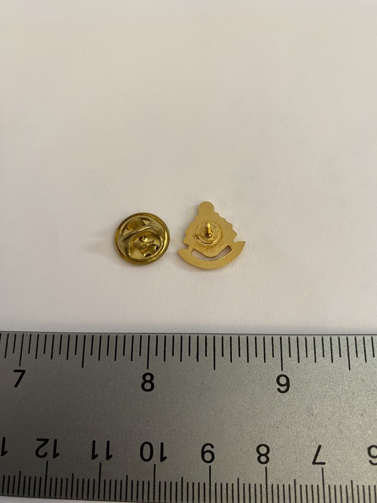 Freemason Masonic Past Master Lapel Pin P182