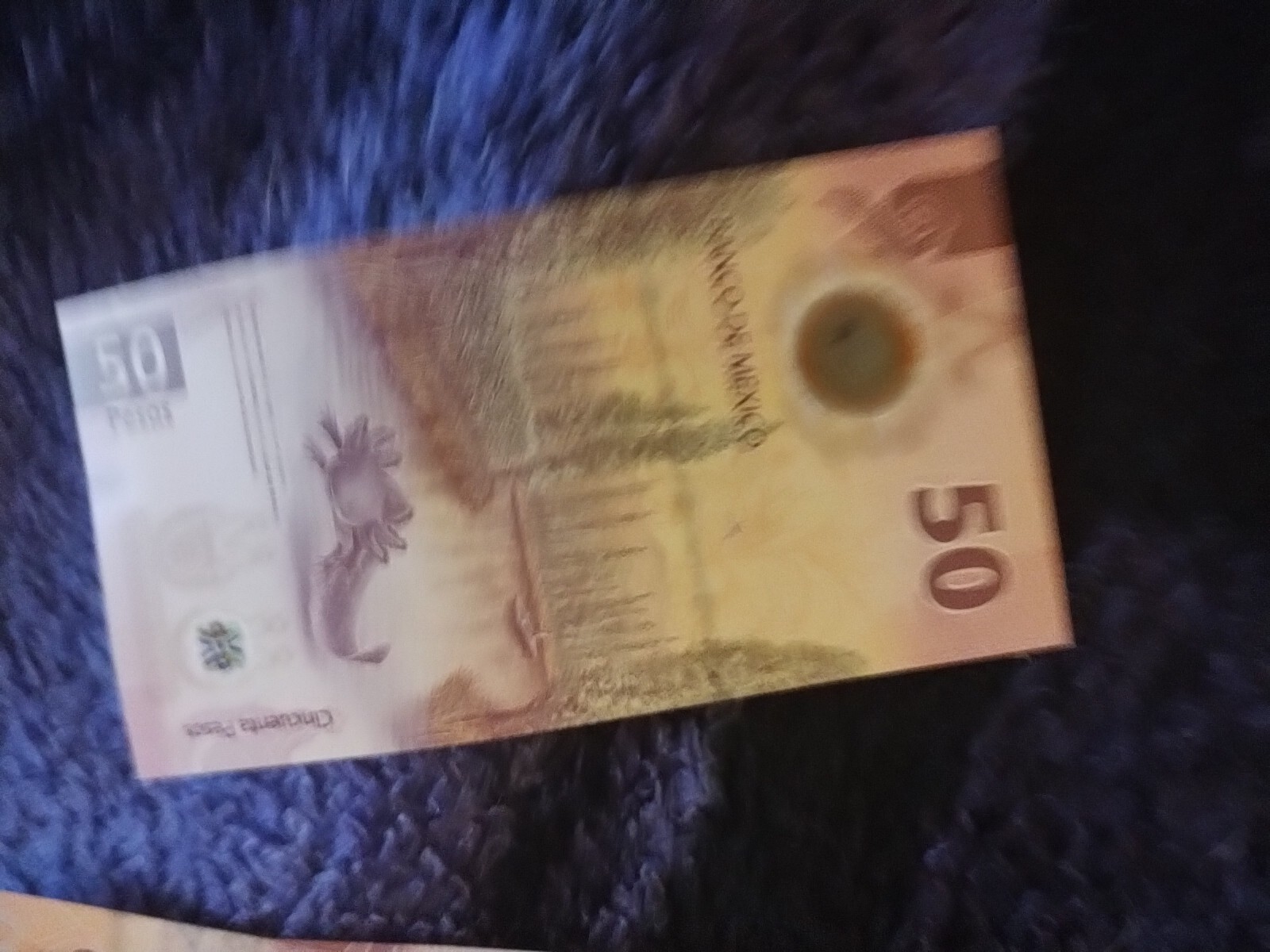 50 PESOS BILL MEXICO AXOLOTL - IBNS NOTE OF THE YEAR