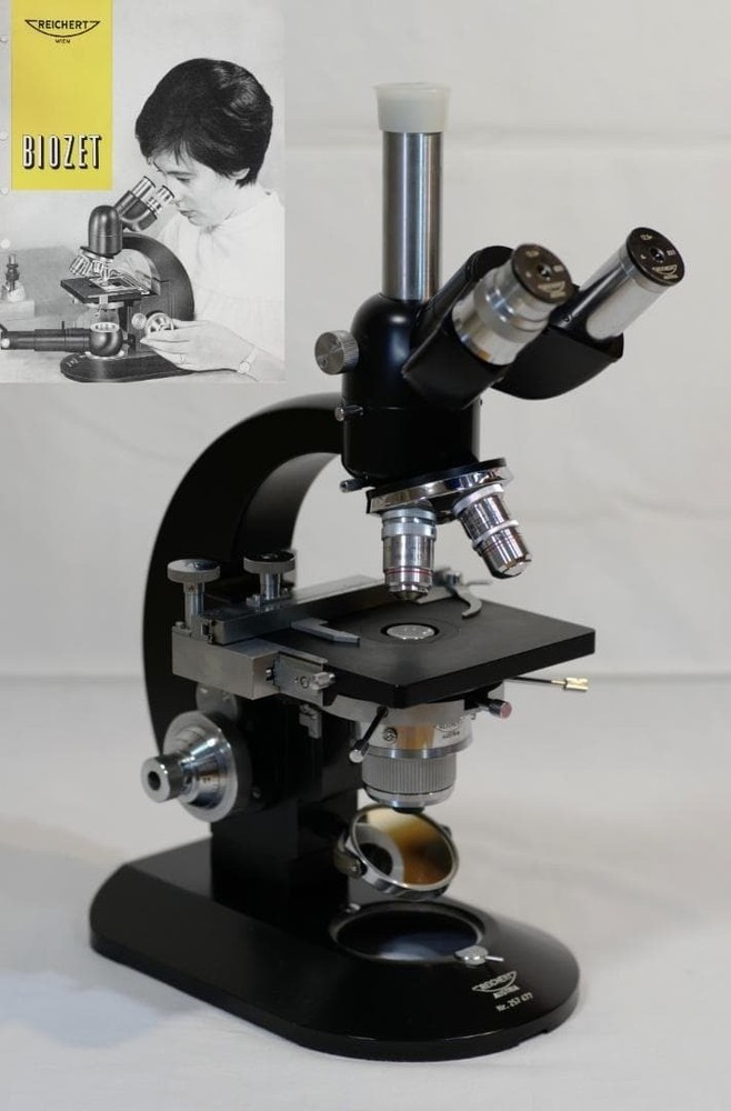 Carl Reichert's phase contrast microscope (BIOZET)