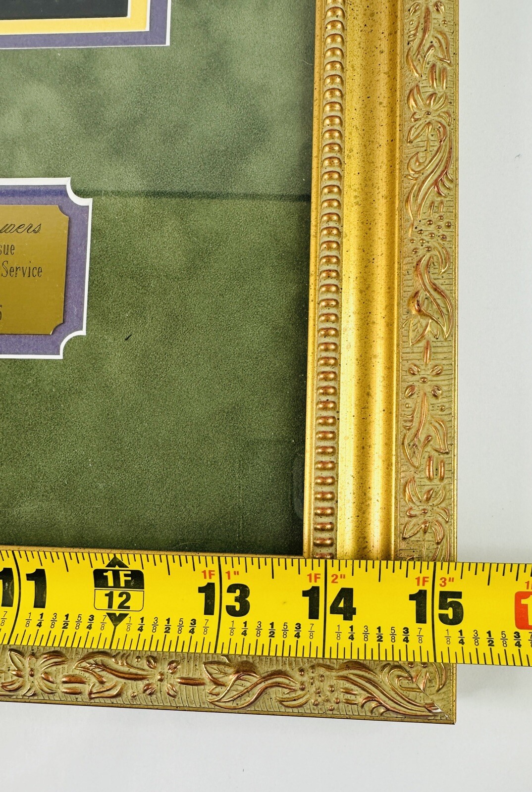 USPS Spring Flowers First Day of Issue Framed Stamps 2005 Lowell Herrero 15x21