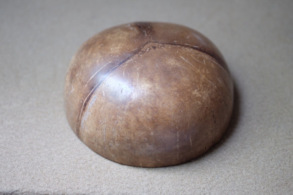 Coconut Shell Bowl Painted Snack Storage Home decor