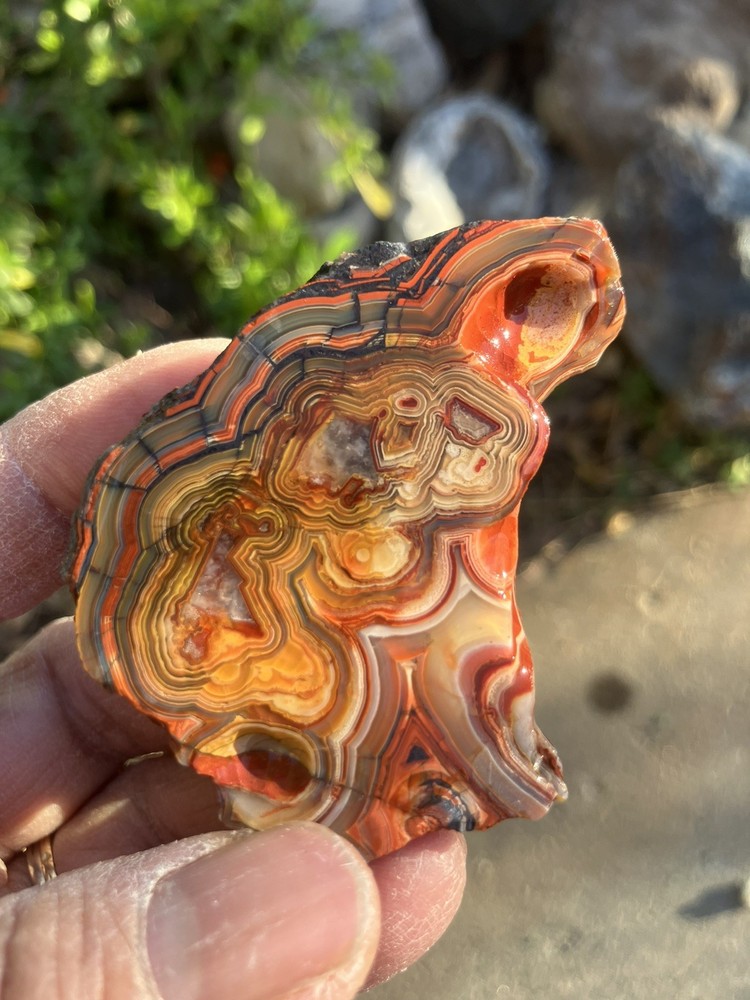 Crazy Lace Agate  (End Cut)