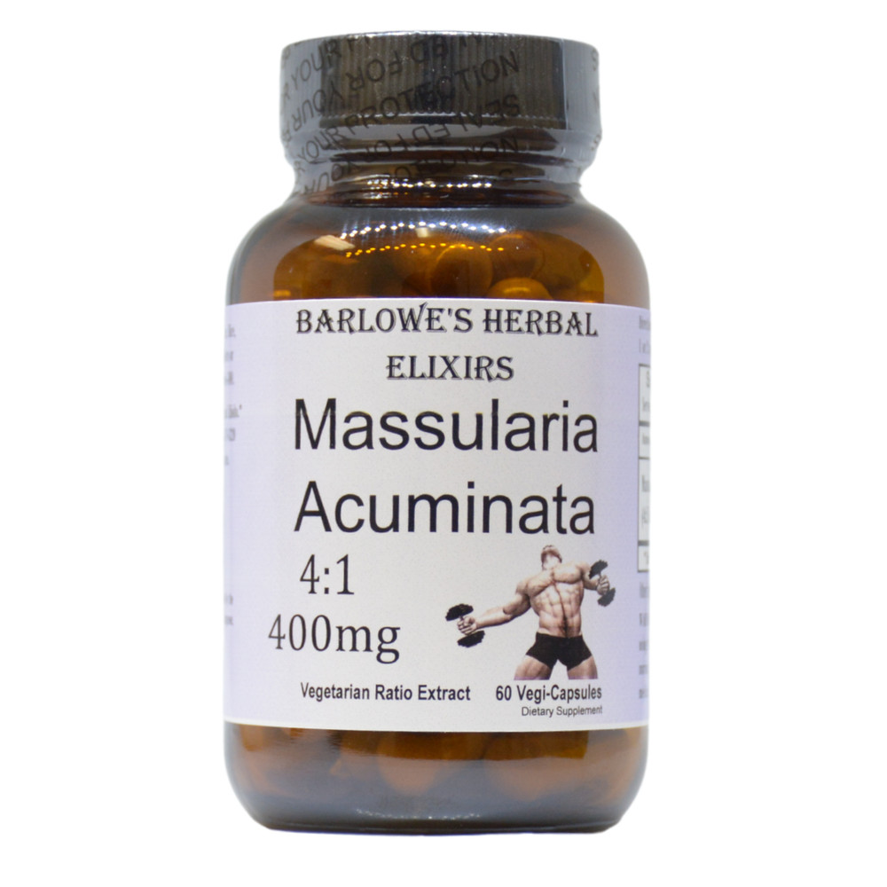 Massularia Acuminata | 4:1 Extract |  Test Support | 400 mg Per Capsule