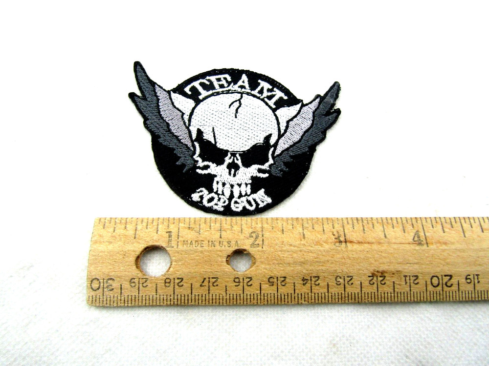 Patch Team Top Gun Skull with Wings Iron On