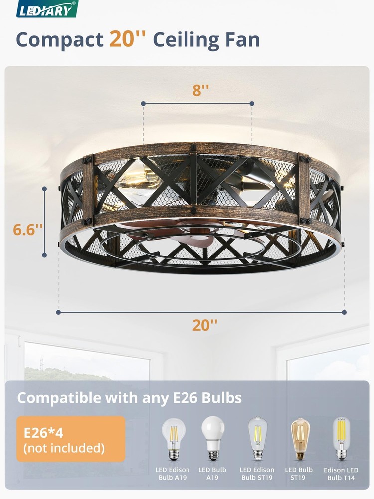 20" Caged Ceiling Fan With Light, APP&Remote Control, Small Flush Mount Farmh...