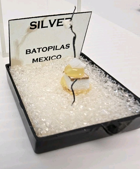 RARE THUMBNAIL SIZED SILVER WIRE Specimen Batopilas Mexico