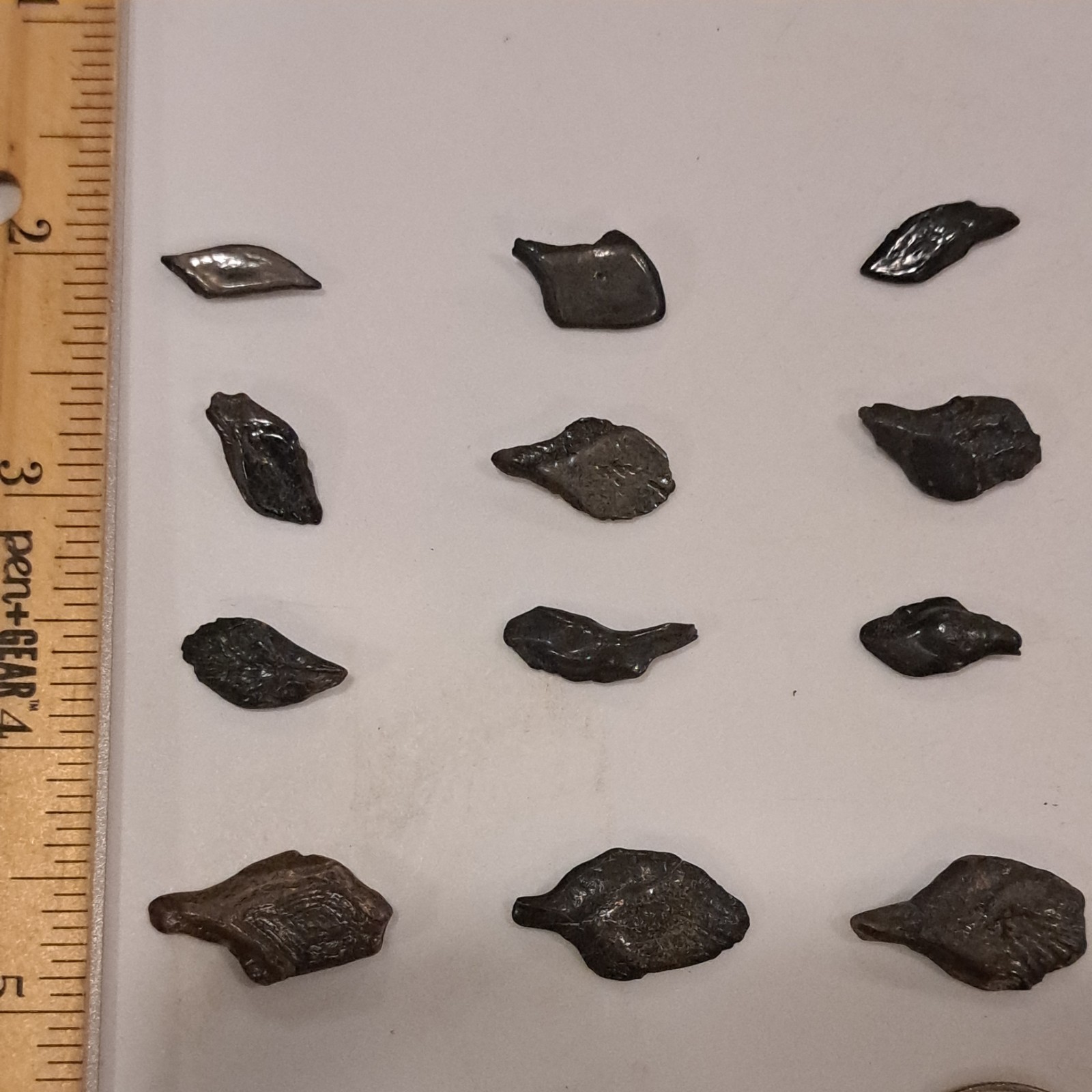 44 ALLIGATOR GAR SCALES FLORIDA FOSSILS ICE AGE EXTINCT FISH BONES TOOTH TEETH @