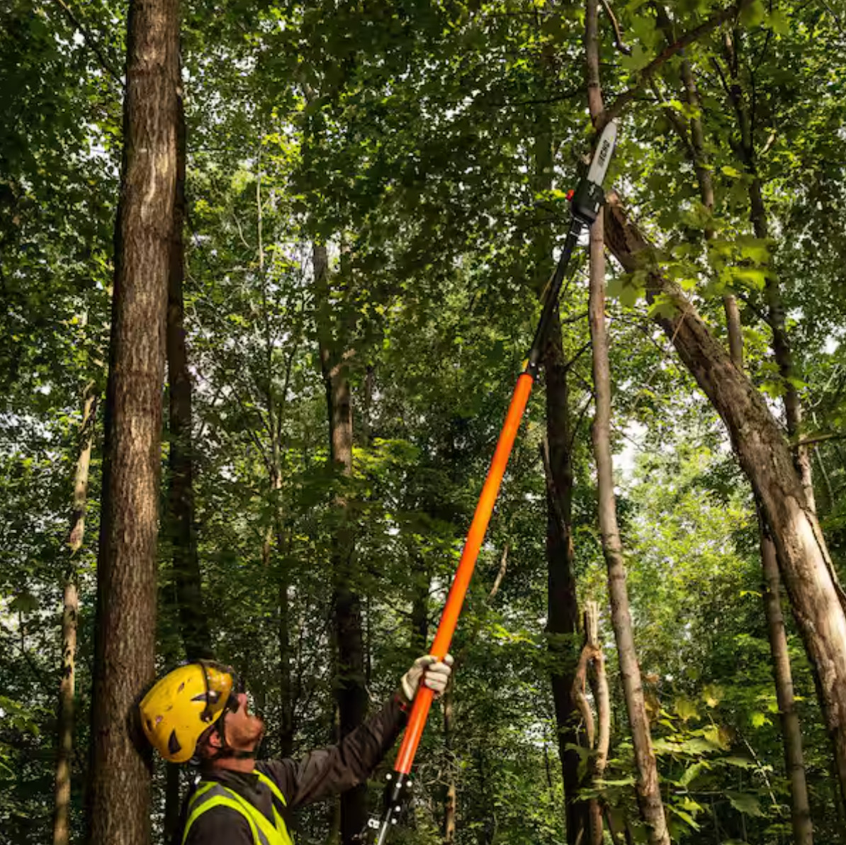 ECHO PPT-2620H 12 in. 25.4 cc Gas 2-Stroke X Series Telescoping Power Pole Saw w