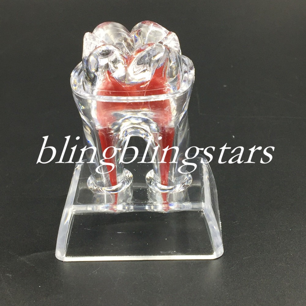 Dental Crystal Base Hard Plastic Removable Teeth Tooth Molar Model Study Supply