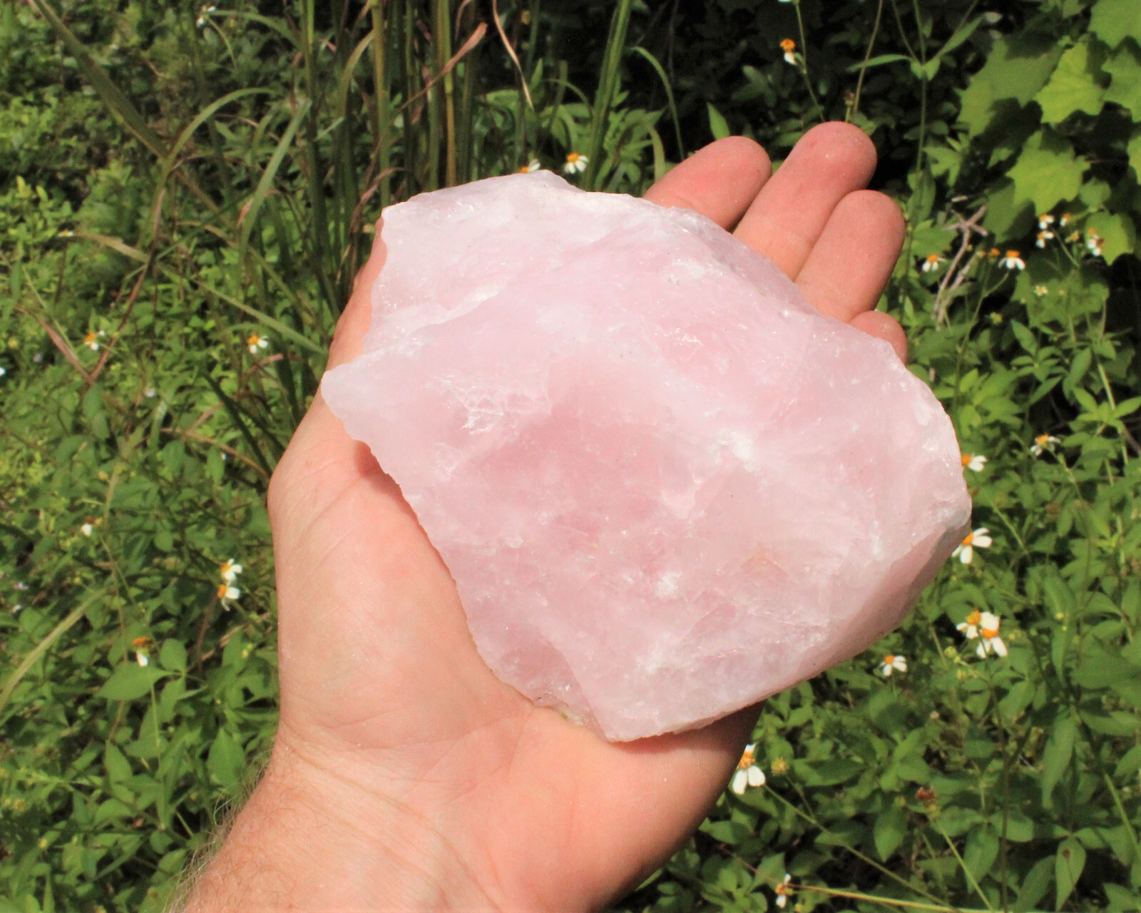JUMBO Rose Quartz Natural Raw Crystals - Choose Size Huge Chunks (Love Stone)