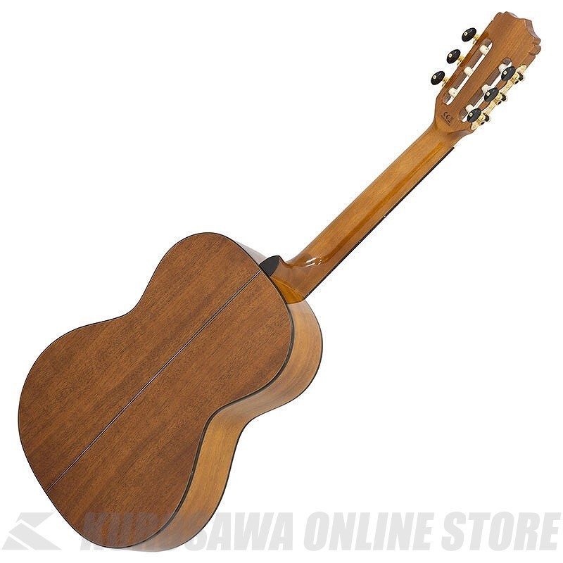 ARIA Basic Mini Classical Guitar 580mm Scale Spruce Top Sapele Sides & Back