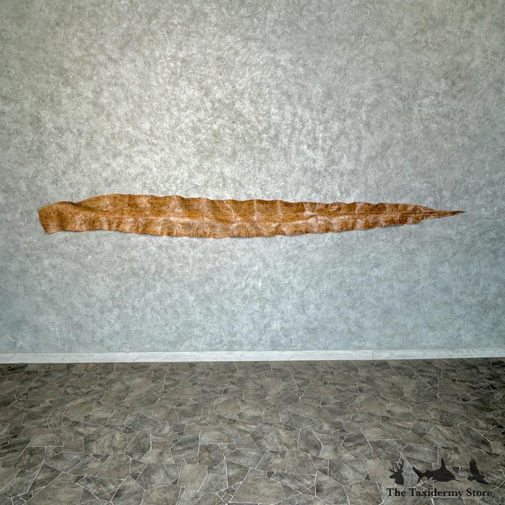 #29778 E | African Rock Python Snake Skin For Sale