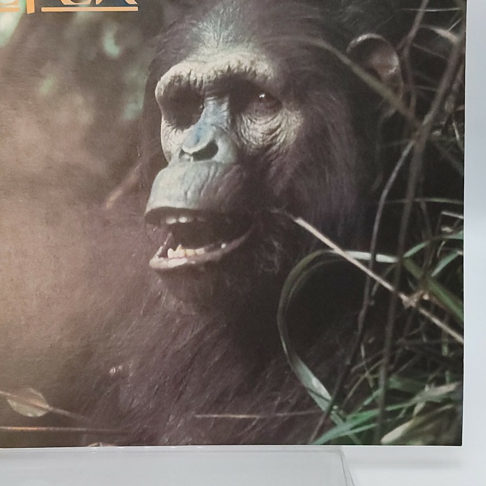 Cinefex 16 ~ Vintage