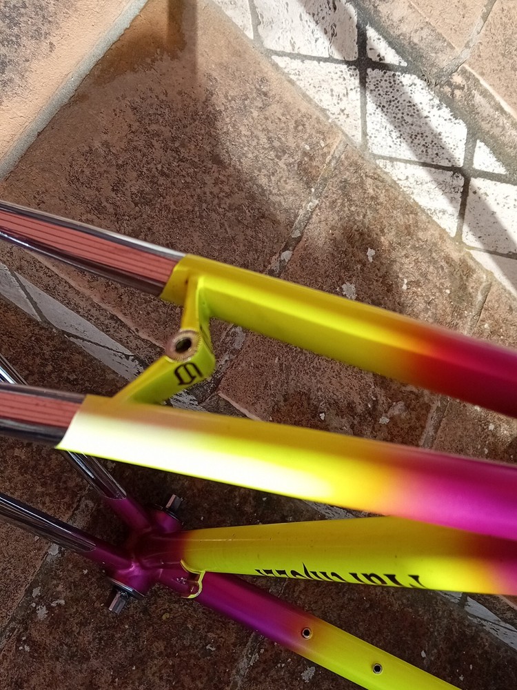 Moser Leader Ax Evolution Vintage Campagnolo Seatpost Fork Frame
