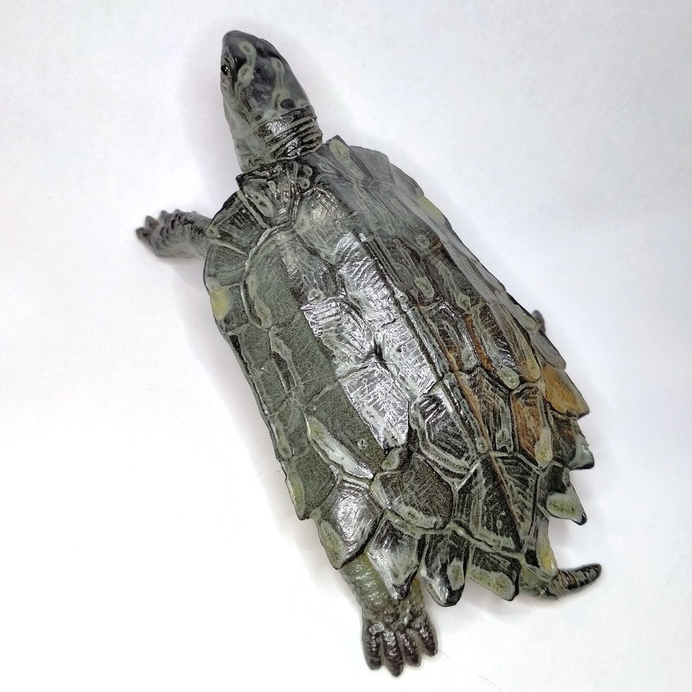 Geoemyda ? Notched turtle by AAA solid rubber figure tortoise A.A.A. NEW