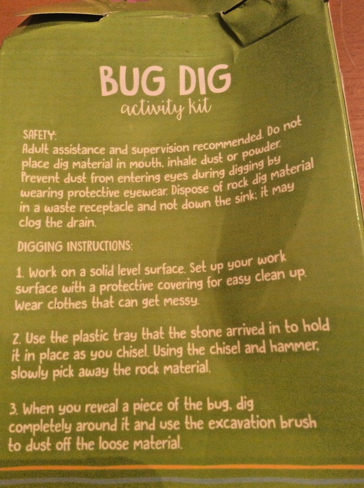 Bug Dig Insect Excavation Kit Dig Discover Bug Stone Activity Kit