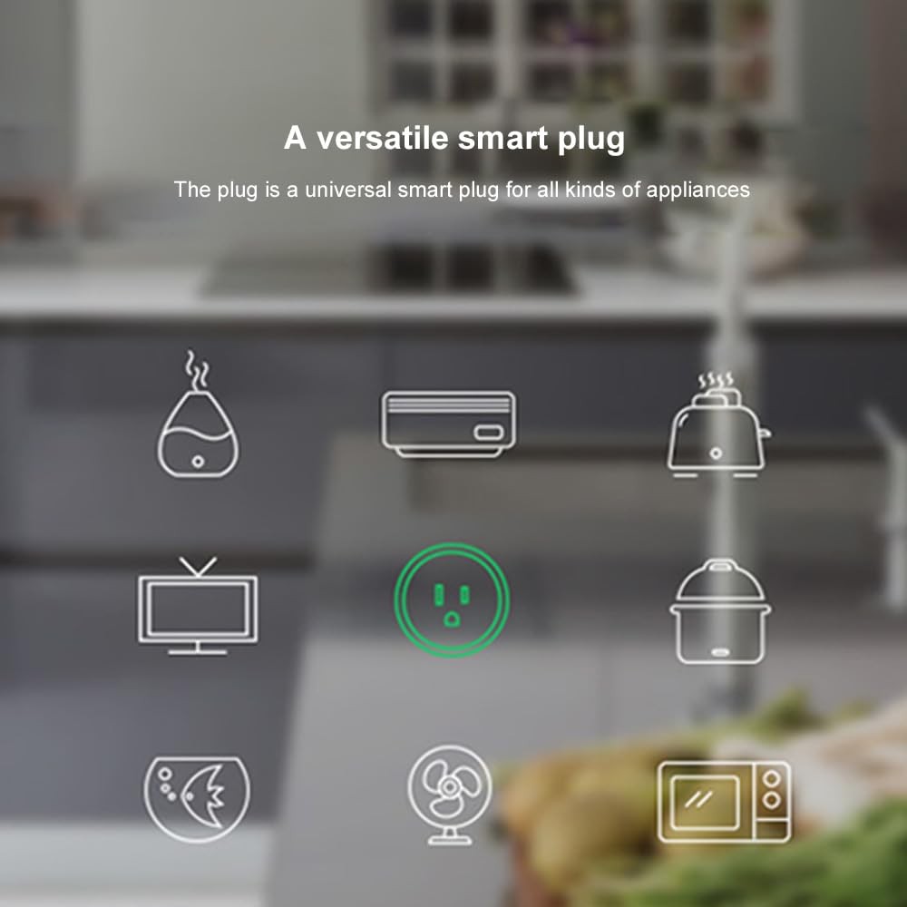 2 Pack WiFi Smart Plug with Remote Control Timer for Alexa and Google Home