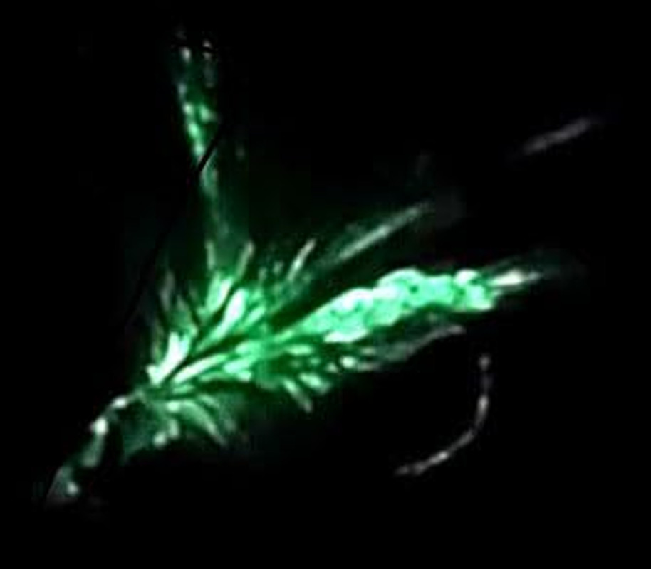 Fly Fishing Floatant - Visibility and Buoyancy Aid