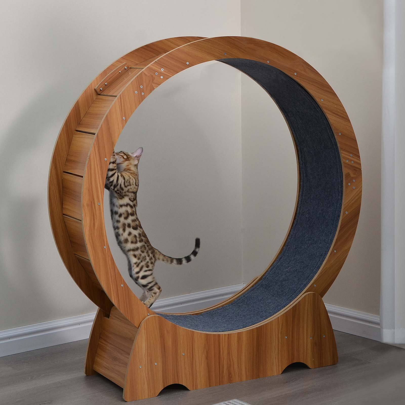 Cat Exercise Wheel Large Cat Treadmill Running Wheel Cat Toy Weight Loss Roller