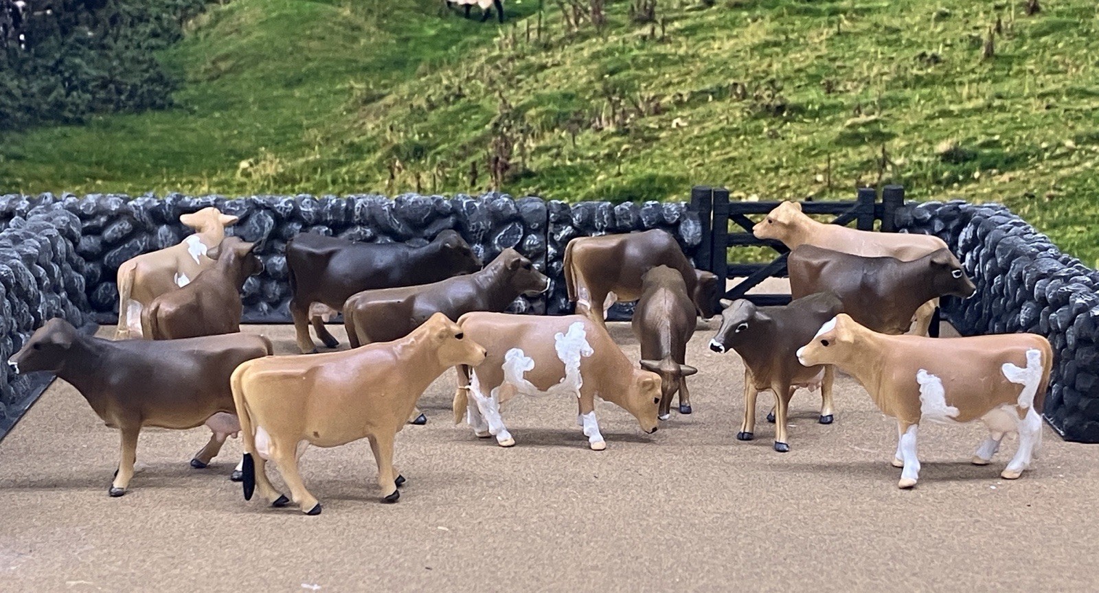 Custom CM Ertl 1:64 Lot Of 13 Jersey Dairy Breed Milk Cows Cattle Farm Scene