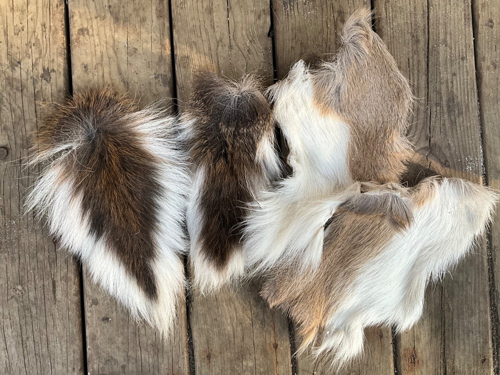 2  deer tails and 2 hide patches