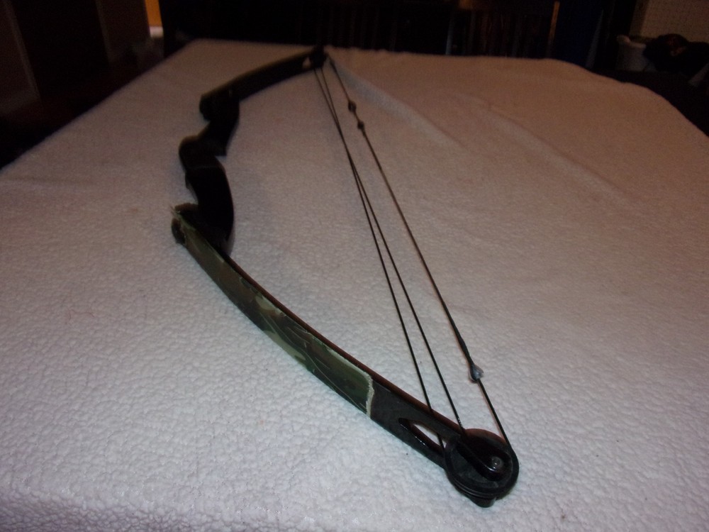 Bear Archery Compound Bow