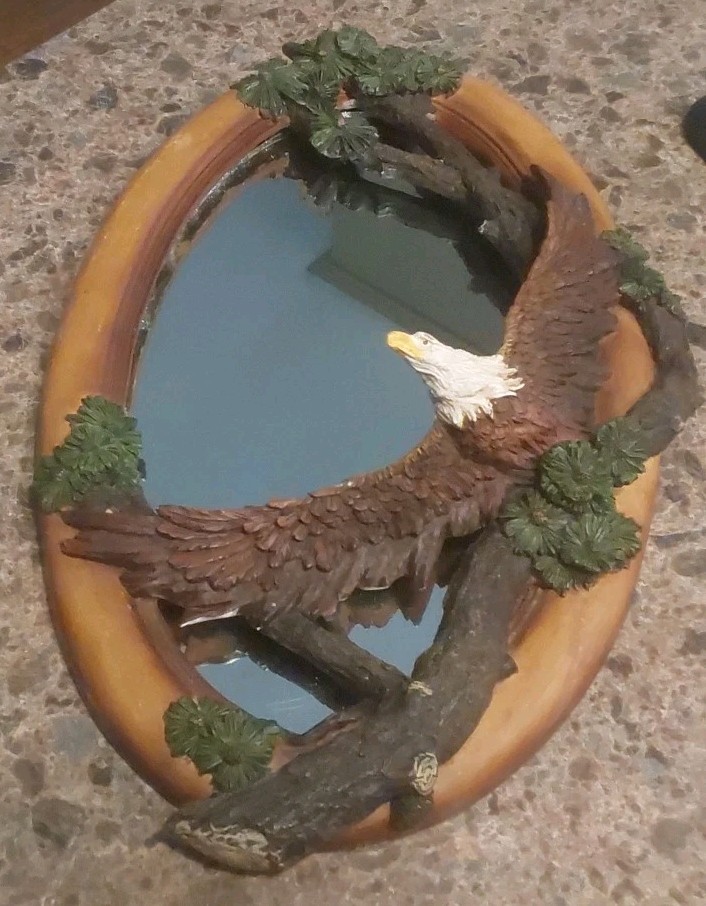 Soaring Bald Eagle Mirror