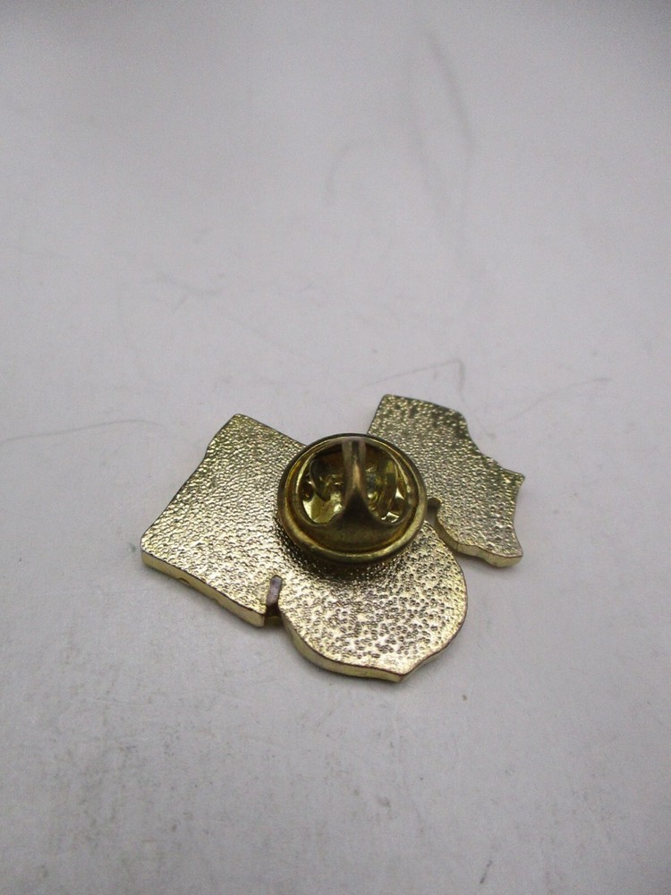 Customs ICE US Embassy Philippines Enamel Lapel Pin