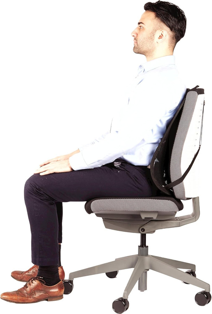 Office Suites Back Support, Graphite (9191301)