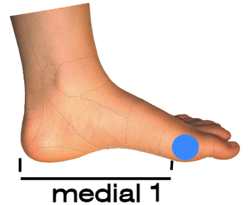 Foot Arch support - Pre-made POLYpropylene size 5 - 13, optional cover flat heel