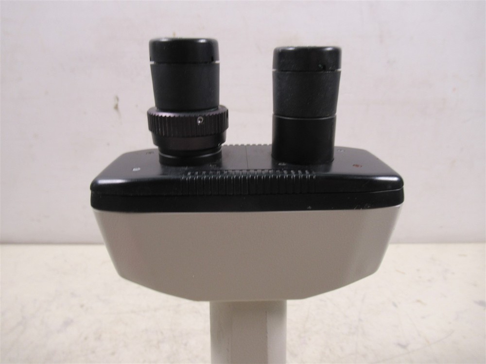 Nikon TMS Binocular Microscope Head with 2 Eyepieces 10X Inverted Microscope