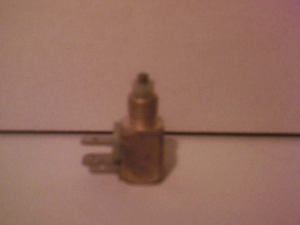 MAJESTIC FIREPLACE PILOT INDICATOR PLUG #20006250  (NEW)