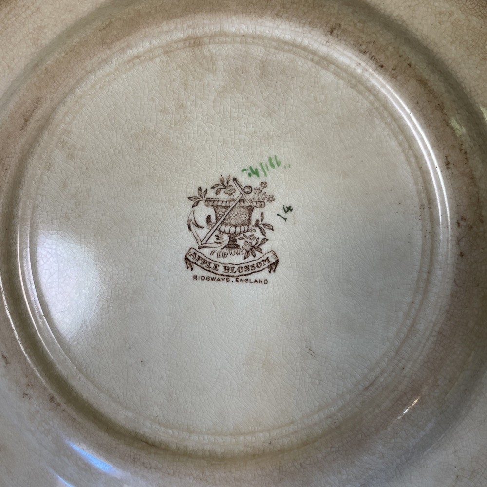 Apple Blossom Plate. Ridgeway England