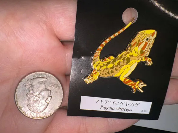 Bearded Dragon Pin Badge from Japan