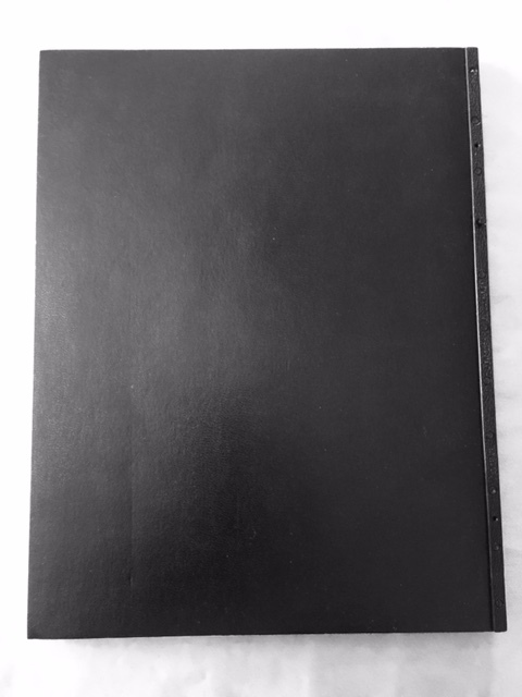 BARFLY: SCRIPT- BY CHARLES BUKOWSKI