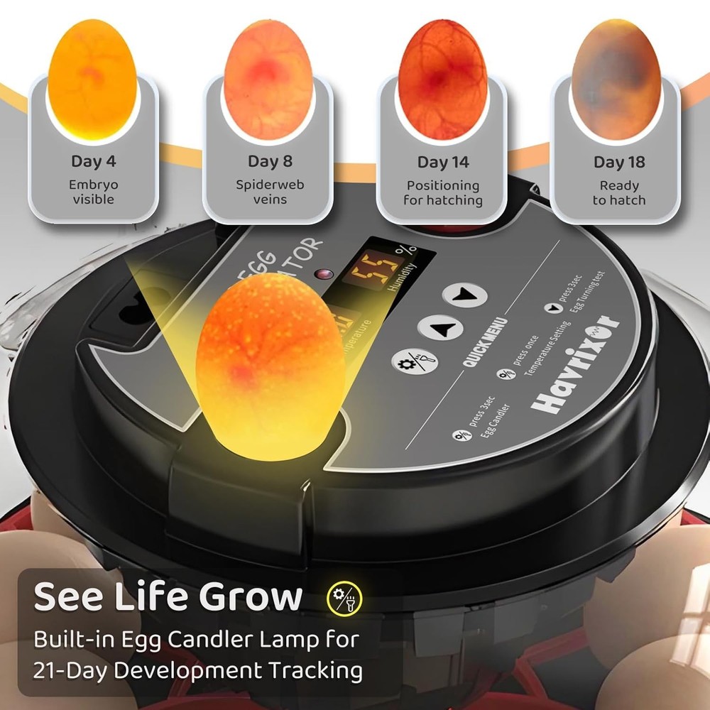 12 Egg Incubator for Hatching Eggs with Fully Automatic Egg Turning, Humidity...