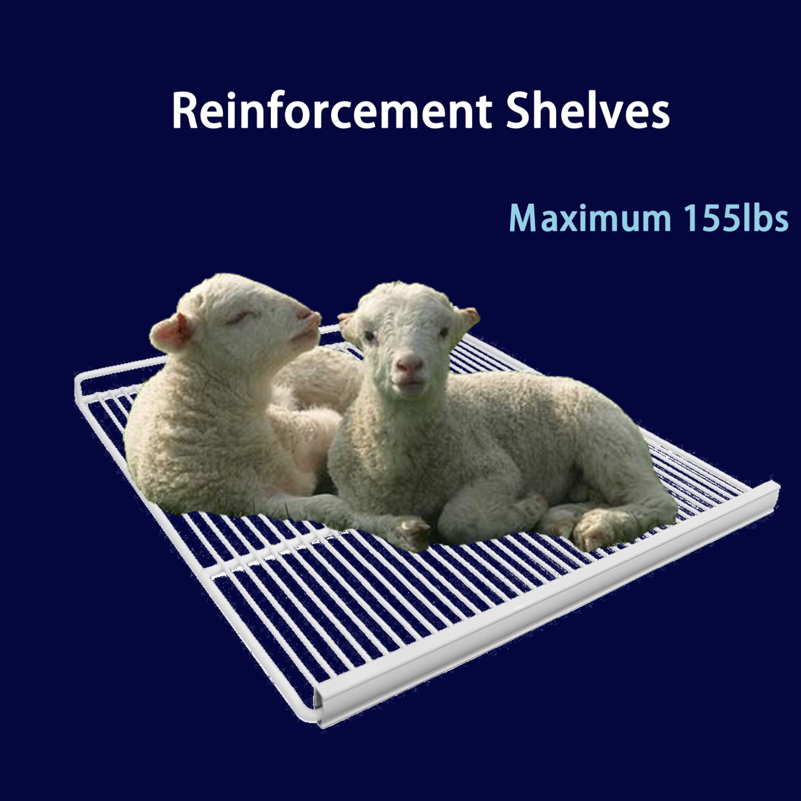 WESTLAKE-WKR-23BG Commercial Refrigerator 27'W 1 Door Stainless Steel 23 Cu.ft