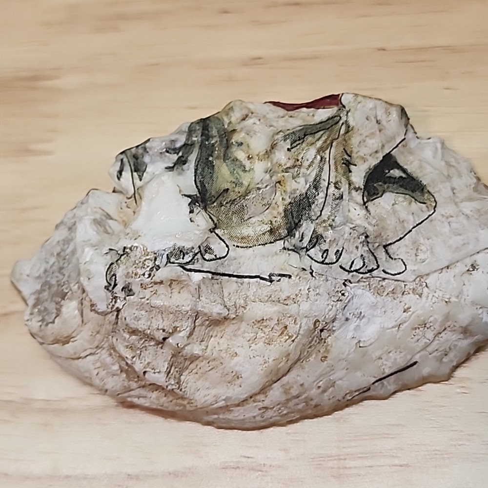 Hand-Painted Oyster Shell