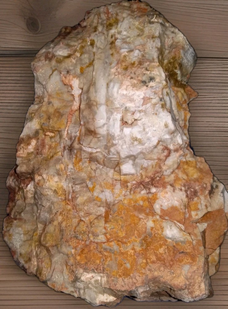 Petrified Opalized Rainbow Wood Rough 3 lbs+ AZ