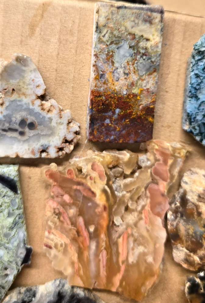 Assorted Plume & Moss Agates, Trimmed Cabochon Slabs Preforms 10 Pcs, Flat 118