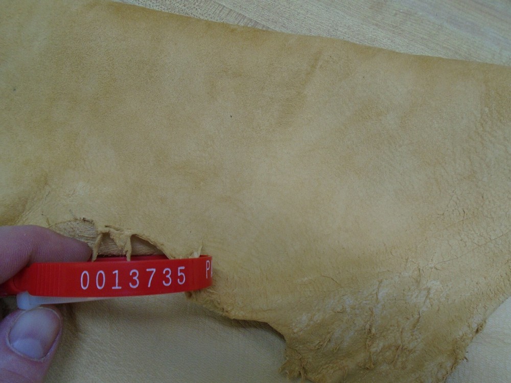 Top Grain Deer Leather #0013735 Row M
