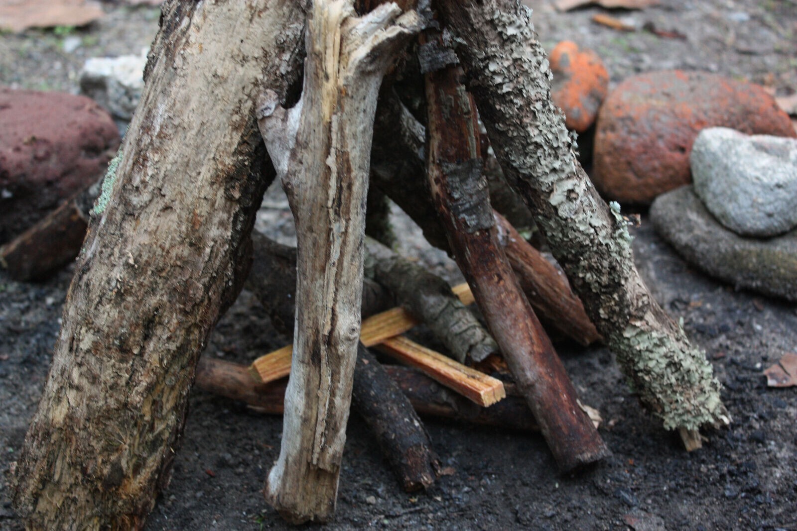 BETTERWOOD PRODUCTS FATWOOD 9987 100% NATURAL FIRESTARTER 5LB FAST SHIP 8605610