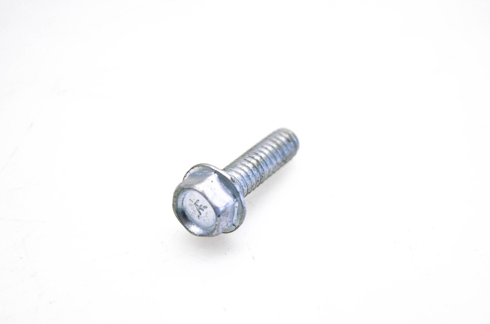 OMC 306049 Screw NOS