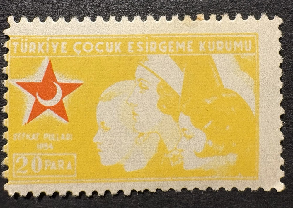 Turkey Charity Stamp MNH