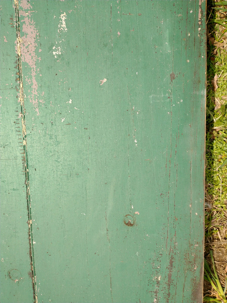 Barn Door ANTIQUE GREEN PAINT LATCH SQUARE NAILS PRIMITIVE