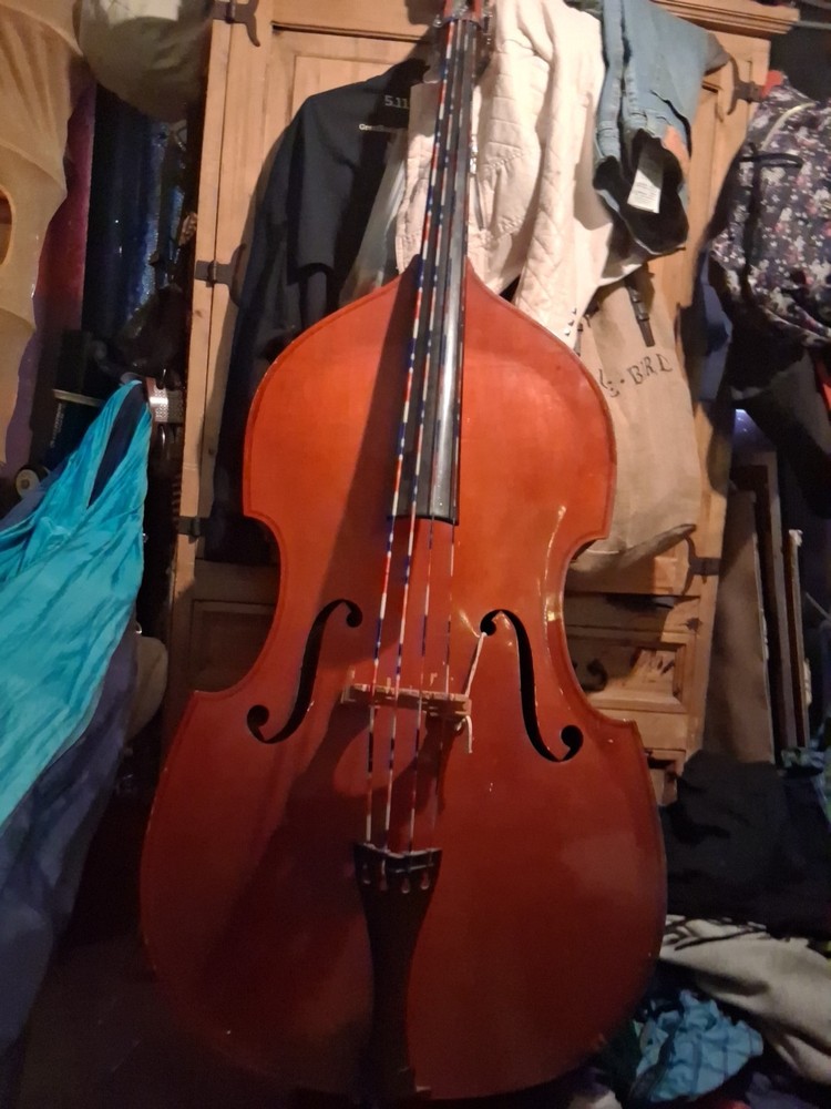 Bass Cello