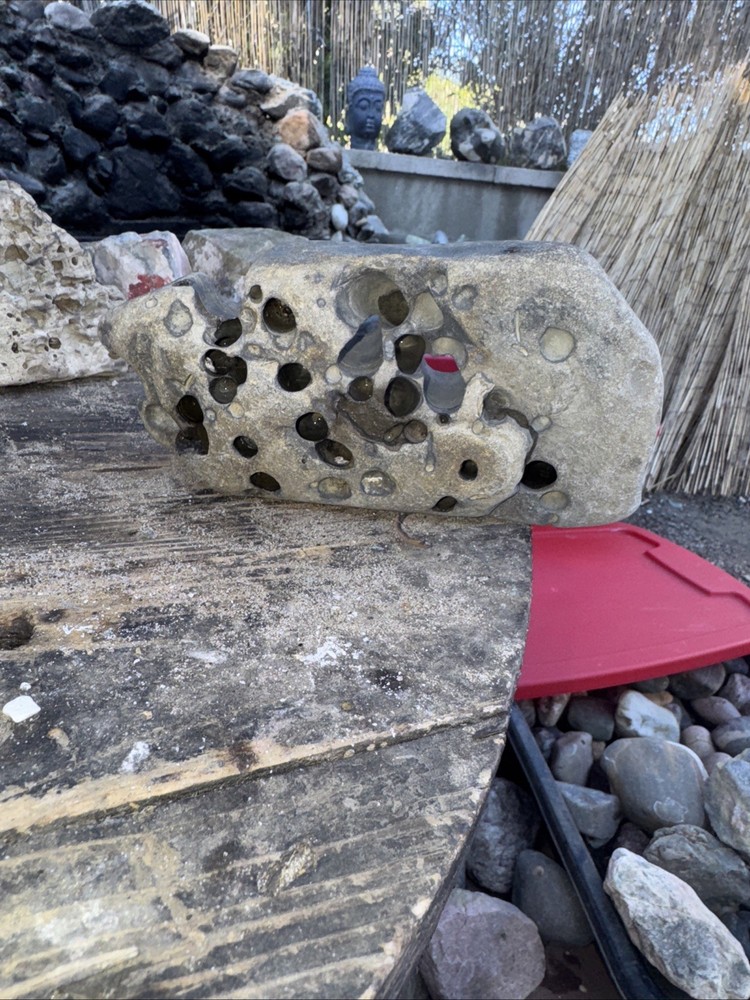 Natural Hag Stone