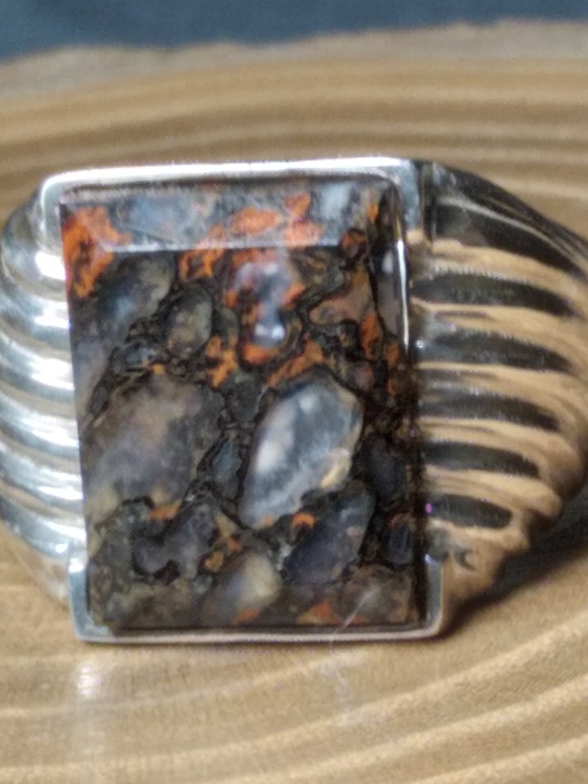 EXQUISITE COLORADO HIGHLY AGATIZED DINOSAUR BONE STERLING RING